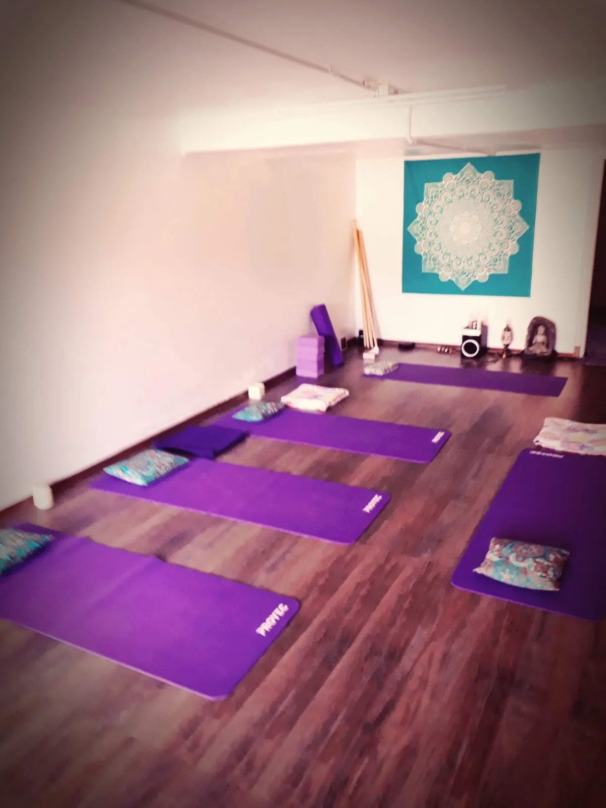 Espacio Karito Yoga en Bernal, Barrio Parque